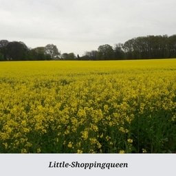 Little-Shoppingqueen.jpg
