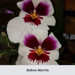 Ruben-Martin.jpg