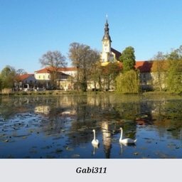 Gabi311.jpg