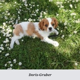 Doris-Gruber.jpg
