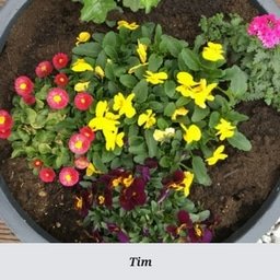 Tim.jpg