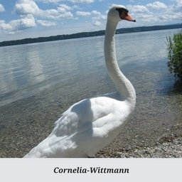 Cornelia-Wittmann.jpg
